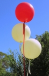Giant Helium Balloons Perth Red Ivory