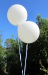 Giant White Balloons 3 Foot