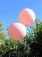 3 Foot Balloons Perth | Pink Giant Balloons